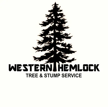 Western Hemlock Tree & Stump Service
